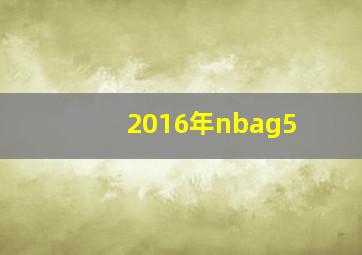 2016年nbag5