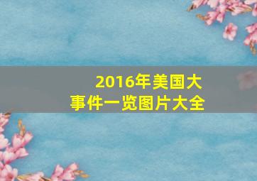 2016年美国大事件一览图片大全