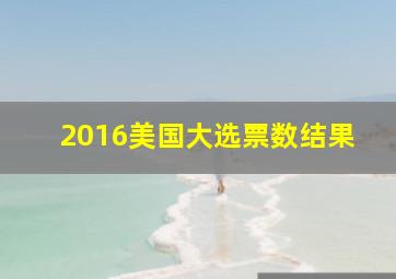 2016美国大选票数结果