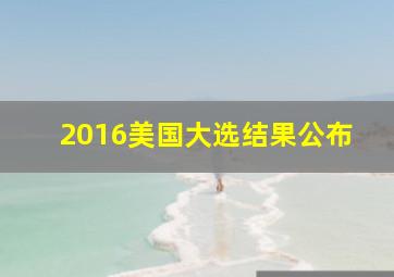 2016美国大选结果公布