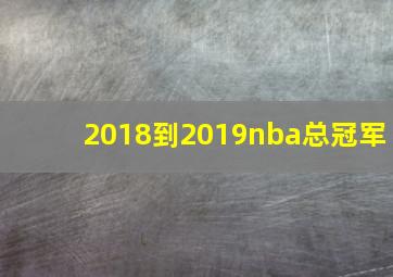 2018到2019nba总冠军