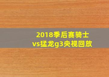 2018季后赛骑士vs猛龙g3央视回放