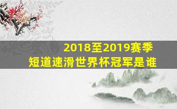 2018至2019赛季短道速滑世界杯冠军是谁