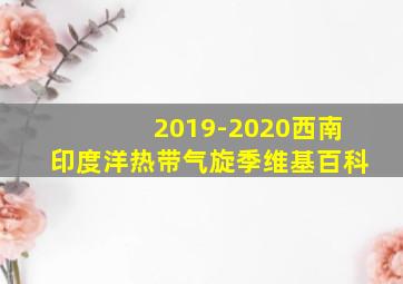 2019-2020西南印度洋热带气旋季维基百科