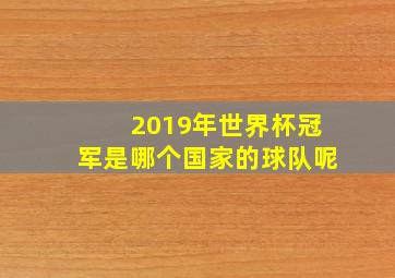 2019年世界杯冠军是哪个国家的球队呢