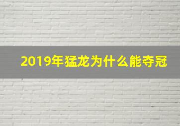 2019年猛龙为什么能夺冠