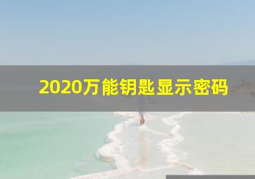 2020万能钥匙显示密码