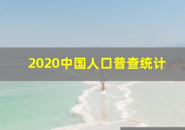 2020中国人口普查统计