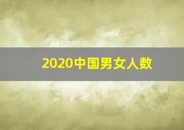 2020中国男女人数