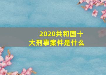 2020共和国十大刑事案件是什么