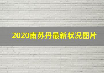 2020南苏丹最新状况图片