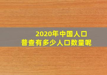 2020年中国人口普查有多少人口数量呢