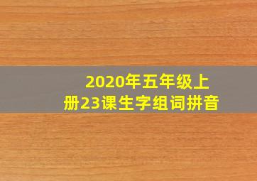 2020年五年级上册23课生字组词拼音