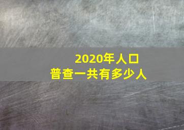 2020年人口普查一共有多少人