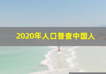 2020年人口普查中国人