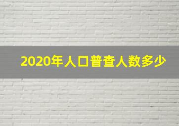 2020年人口普查人数多少