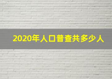 2020年人口普查共多少人