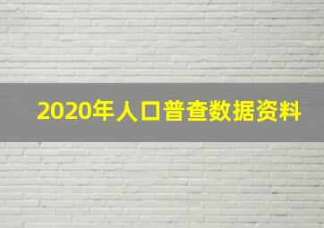 2020年人口普查数据资料