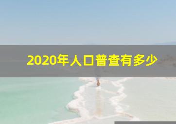 2020年人口普查有多少