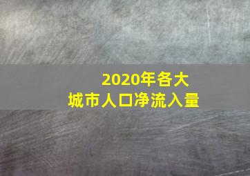 2020年各大城市人口净流入量