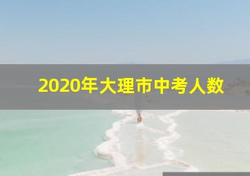 2020年大理市中考人数