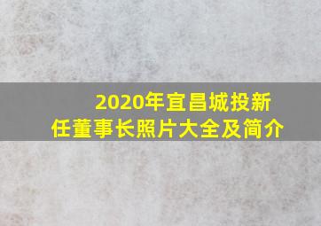 2020年宜昌城投新任董事长照片大全及简介