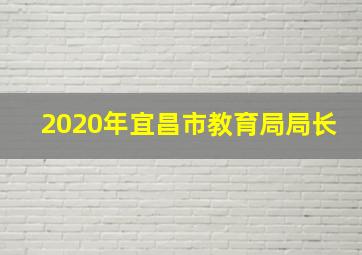 2020年宜昌市教育局局长