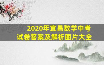 2020年宜昌数学中考试卷答案及解析图片大全