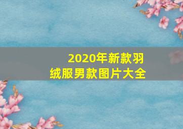 2020年新款羽绒服男款图片大全