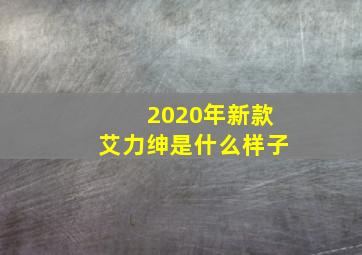 2020年新款艾力绅是什么样子