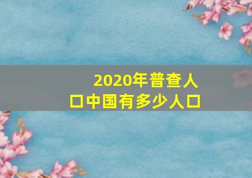 2020年普查人口中国有多少人口