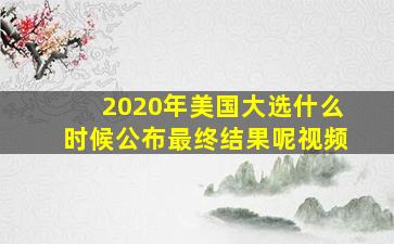 2020年美国大选什么时候公布最终结果呢视频