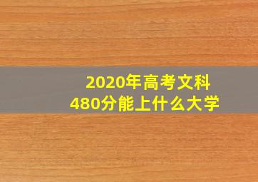 2020年高考文科480分能上什么大学