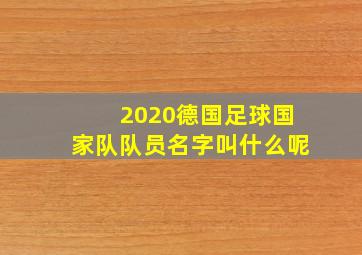 2020德国足球国家队队员名字叫什么呢