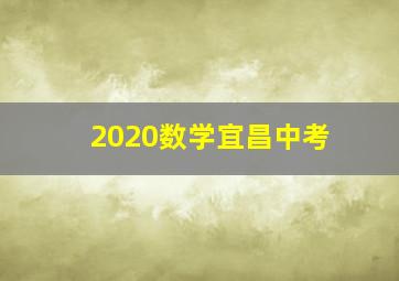 2020数学宜昌中考