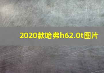 2020款哈弗h62.0t图片