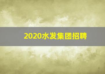 2020水发集团招聘