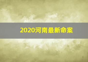 2020河南最新命案