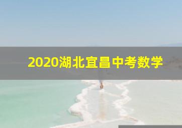 2020湖北宜昌中考数学