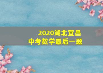 2020湖北宜昌中考数学最后一题