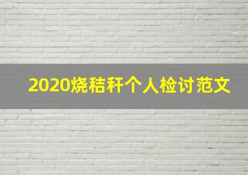 2020烧秸秆个人检讨范文