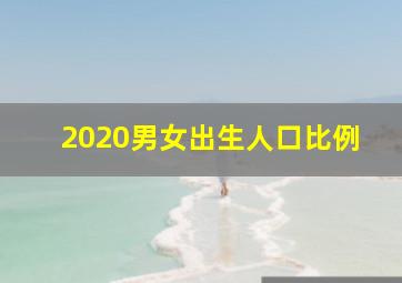 2020男女出生人口比例