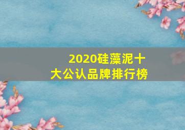 2020硅藻泥十大公认品牌排行榜