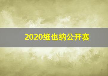 2020维也纳公开赛