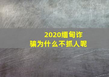 2020缅甸诈骗为什么不抓人呢