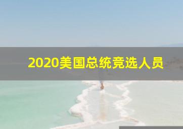 2020美国总统竞选人员