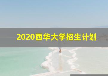 2020西华大学招生计划