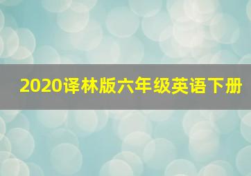 2020译林版六年级英语下册