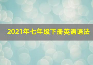 2021年七年级下册英语语法