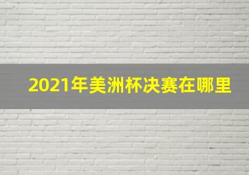 2021年美洲杯决赛在哪里